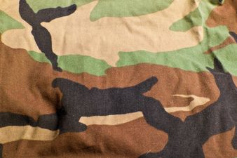 Survey reveals what percentage of Irish people are willing to fight for Ireland