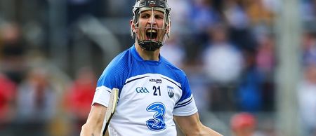 Pic: Proof that Waterford people have a brilliant sense of humour