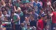 Video: An American TV channel were obsessed with these Irish people at a baseball game