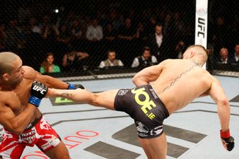 Pic: Irish UFC fan has created a very clever flag for McGregor v Mendes