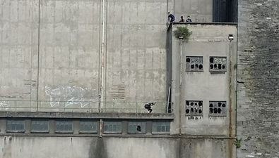 Video: People jumping into water from a huge height at Grand Canal Dock
