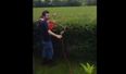 Video: Zero fu**s given by this Irish lad using a lawnmower to trim his hedges