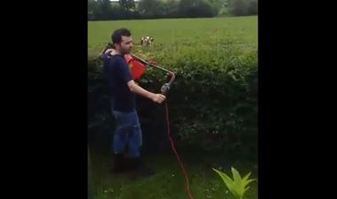Video: Zero fu**s given by this Irish lad using a lawnmower to trim his hedges