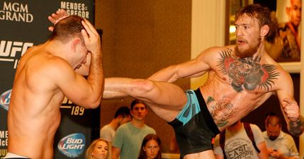 Pic: These Irish lads in France are fairly desperate to see the McGregor fight