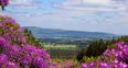 GALLERY: Treasure Ireland – 16 images of Tipperary that will make you want to live there