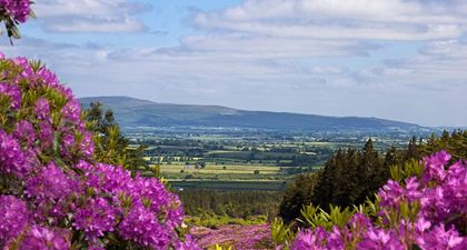 GALLERY: Treasure Ireland – 16 images of Tipperary that will make you want to live there