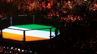 Video: Sinéad O’Connor sings as Conor McGregor enters the Octagon – brilliant fan footage