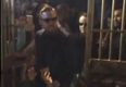 Video: Conor McGregor arrives to his post-fight party and the crowd go nuts