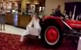 Video: Bride arrives to her wedding reception in Sligo in a transport box on the back of tractor