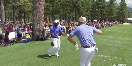 Video: Timberlake and Ribeiro do the Carlton dance in the tee box