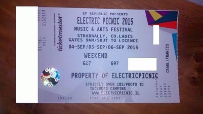 Pics: Dublin man breaks hearts with devious Electric Picnic prank