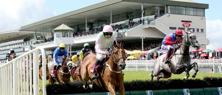 Pic: This Limerick man’s Galway Races survival kit will make your jaw drop