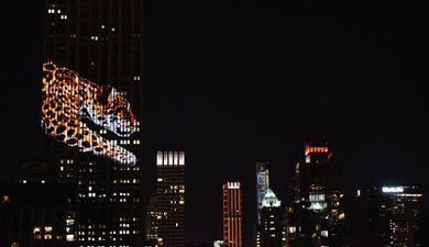 Pics: Cecil the lion and other endangered animals lit up the Empire State building last night in a beautiful tribute