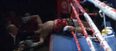 Video: Knock-Out punch sees boxer fall out of the ring into the front-row