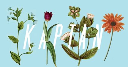 New music is hard to find so here’s JOE’s new song of the day (August 10)