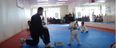 Video: Tenacious Taekwondo kid is the latest Internet star and it’s easy to see why