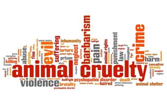 Reward worth thousands of Euro on offer to find the people who slit the throat of a dog in Cork