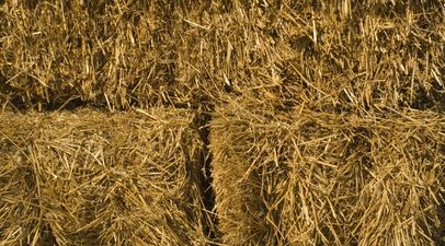 PICS: This Donegal farmer played bale jenga on his car instead of using a trailer