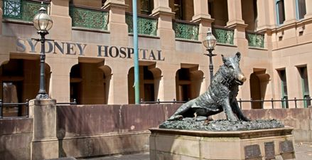 Irishman placed in an induced coma after being assaulted in Sydney