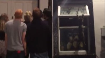 VIDEO: Gang of punters exit pub in Wexford, pull together to save a cat hanging from a window