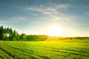 Great news for everyone going to Electric Picnic, there’s an Indian Summer on the way