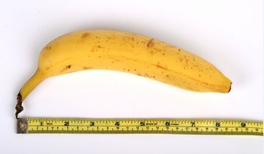 PICS: The man with the biggest penis in the world has one unbelievable problem with it