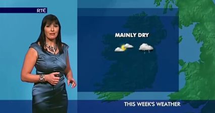 Met Eireann are getting dog’s abuse over their weather predictions