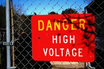 VIDEO: Watch this luder play with an electric fence and of course the inevitable happens