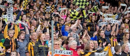 PICS: The guards catching a streaker on the pitch at Kilkenny’s homecoming tonight