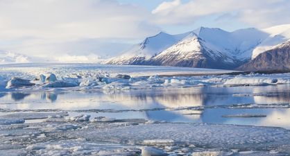PIC: This image of a polar bear showing the effects of global warming is going viral
