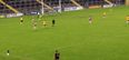 VIDEO: An extremely rare ‘own point’ was scored in a championship game in Cavan yesterday