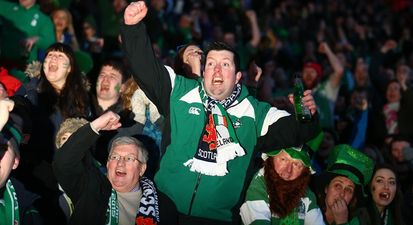 Leinster culchies, Munster bandwagoners, rugger huggers and 10 more types of Irish Rugby supporter