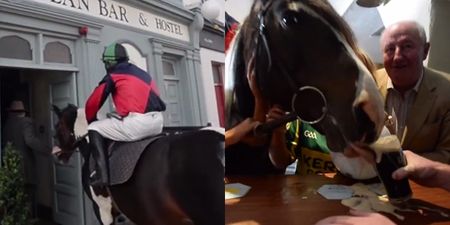 VIDEO: A horse having a pint in a pub in Kerry