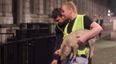 VIDEO: Irish man attempts to deliver a live pig to David Cameron on Downing Street