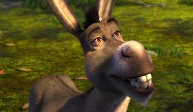 Farmer was caught having sex with a donkey and gave the most ridiculous excuse imaginable