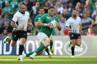 PIC: We’ve found the most suitable attire for watching Ireland games