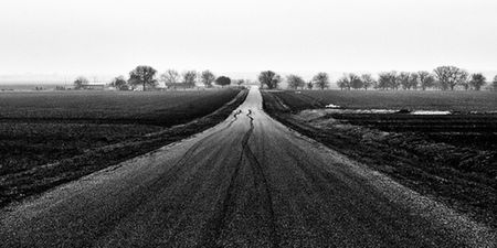 JOE’s new song of the day #223