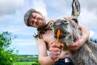 PICS: Some of the best shots from the hot and steamy Irish Farmer Calendar 2016
