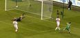 VIDEO: Shane Long’s stunning, stunning goal against Germany