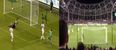 VIDEO: Brilliant fan footage of Shane Long’s winner against Germany from directly behind the goal