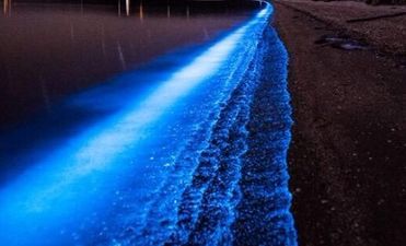 PIC: This spectacular ‘sea sparkle’ will be visible in Kerry again tonight