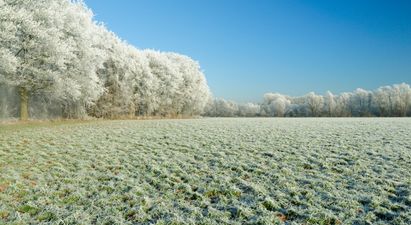 Get the hot water bottle out, it’s going to be cold tonight