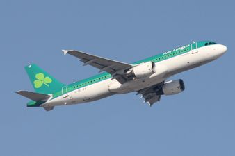 Fresh developments in the bizarre story of the Aer Lingus flight diverted to Cork