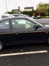 PICS: This dog tried to get behind the wheel of a car in a Cavan car park