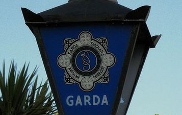 PIC: This Garda from Crumlin started her day with quite the discovery