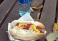 Pricey! This Web Summit hot dog would want to be the best damn hot dog in the world