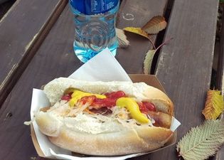 Pricey! This Web Summit hot dog would want to be the best damn hot dog in the world