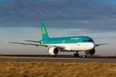 Aer Lingus has some excellent news for Irish fans travelling to the Euros in the summer