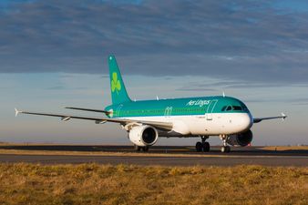 Aer Lingus has some excellent news for Irish fans travelling to the Euros in the summer