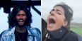 VIDEO: The mashup of the Bee Gees and Irish rollercoaster girl you’ve all been waiting for